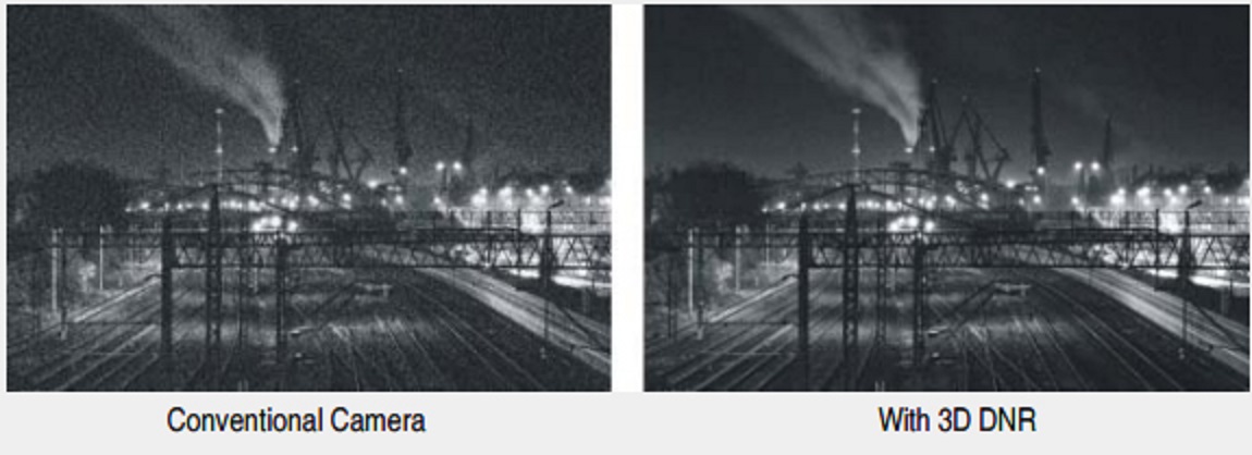 Before and after DNR Before and after DNR